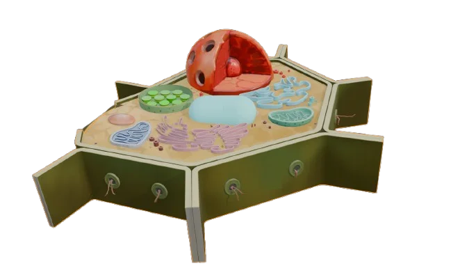Miniatura célula vegetal